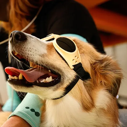 Laser Therapy