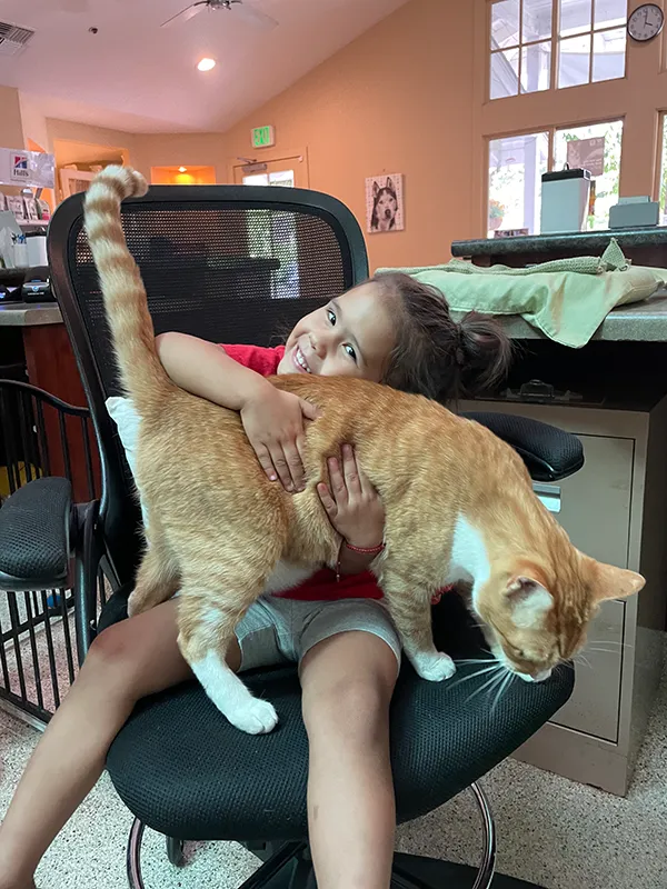 A girl hugging a cat