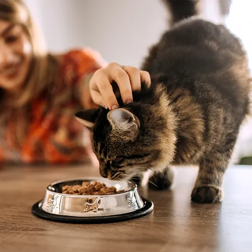Nutrition & Weight Management