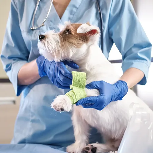 Emergency Care