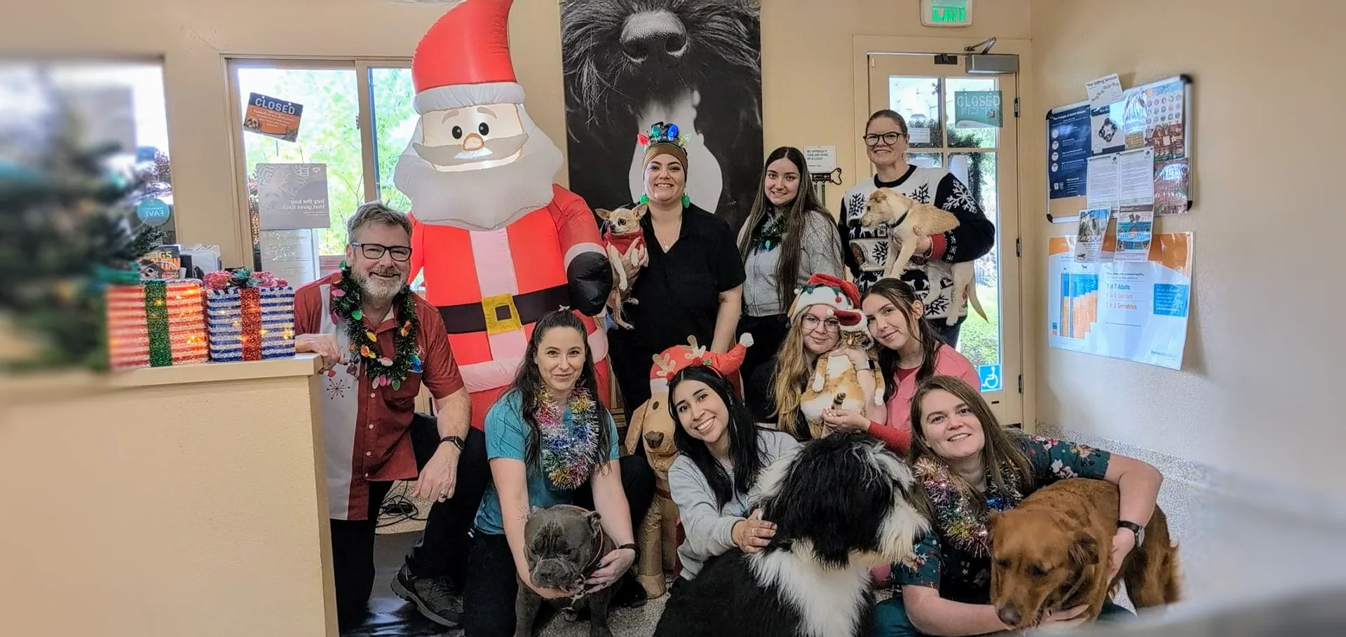 Calistoga Pet Clinic Team Christmas 2024 Photo