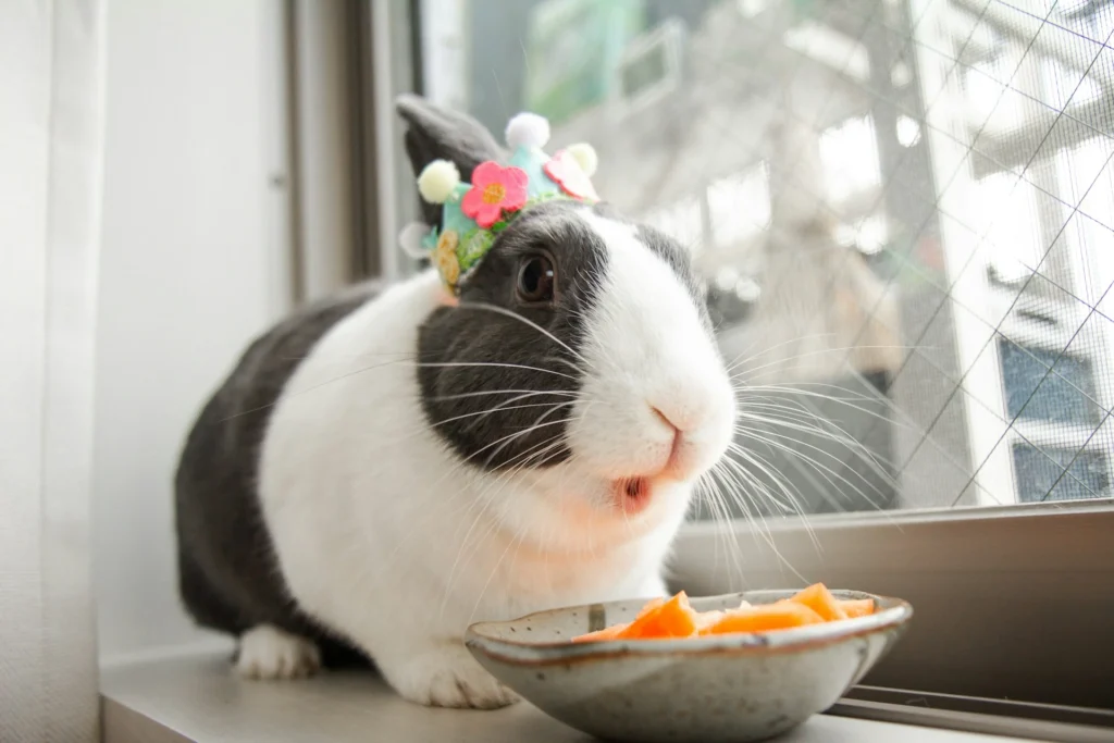 A rabbit sits on a windowsill while eating carrots from a ceramic bowl.